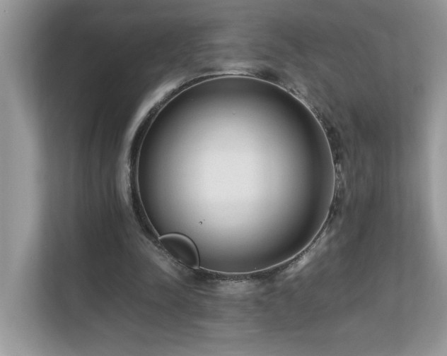 X0000110670342200906121314