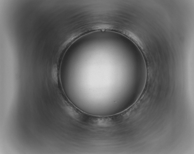 X0000110670345200906121314