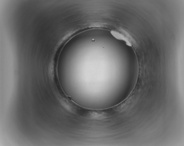 X0000110670346200906121314