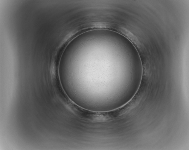 X0000110670347200906121314