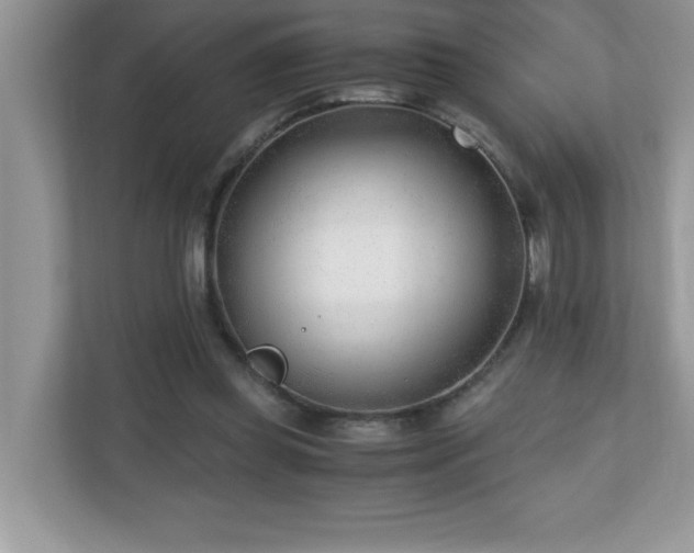 X0000110670349200906121314