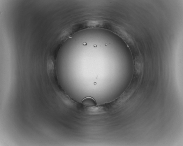 X0000110670375200906121314