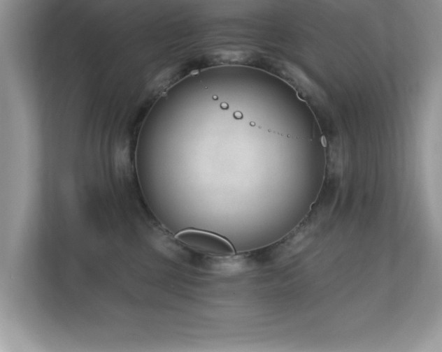 X0000110670377200906121315