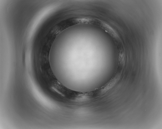 X0000110670381200906121315