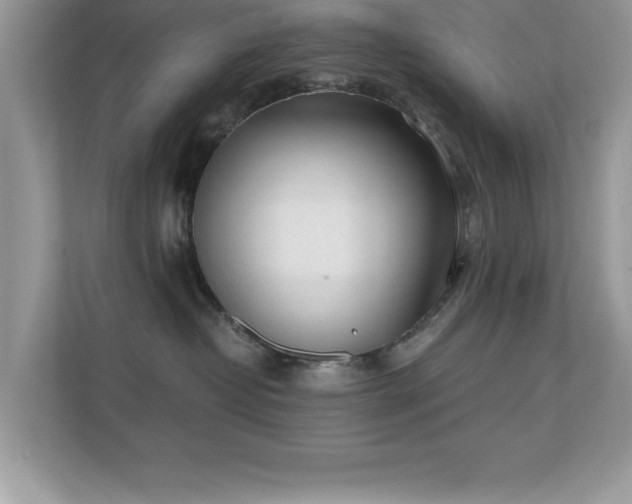 X0000110670382200906121315