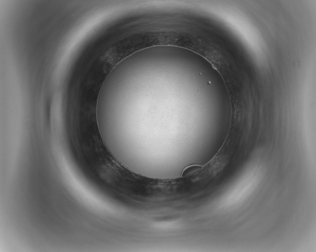 X0000110670383200906121315
