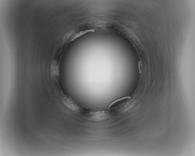 X0000110670384200906121315
