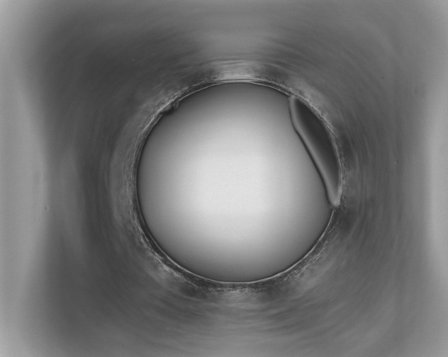 X0000110670385200906121314