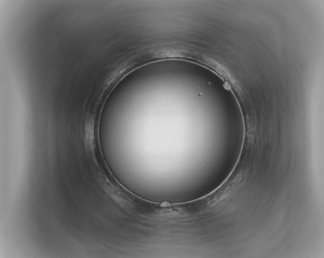 X0000110670386200906121314