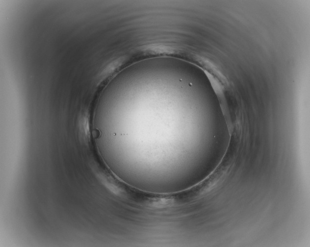 X0000110670398200906121314