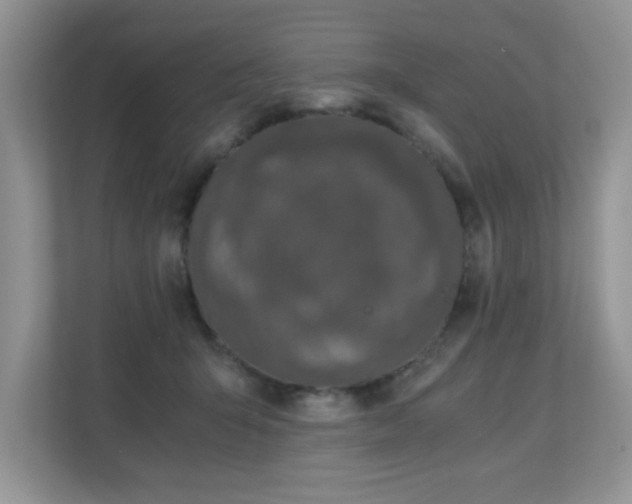 X0000110670415200906121314