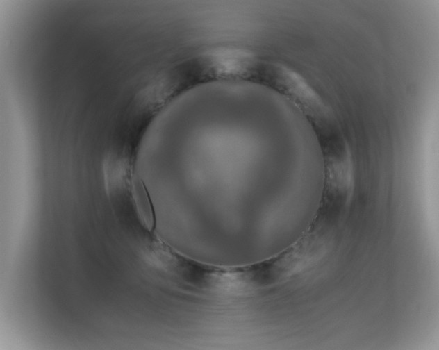 X0000110670419200906121314