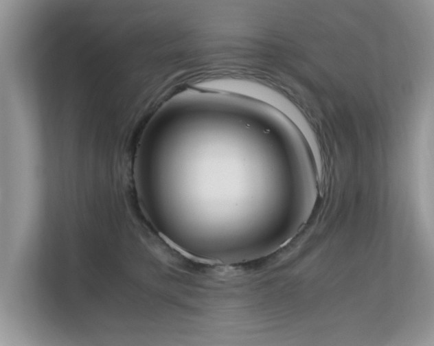 X0000110670421200906121313