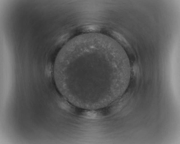 X0000110670423200906121313