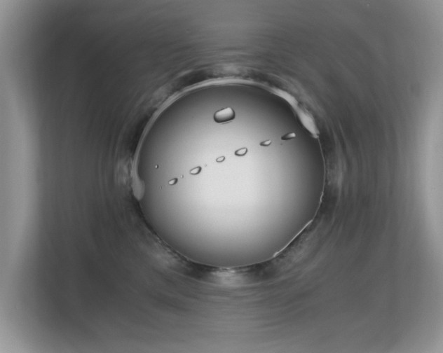 X0000110670425200906121313