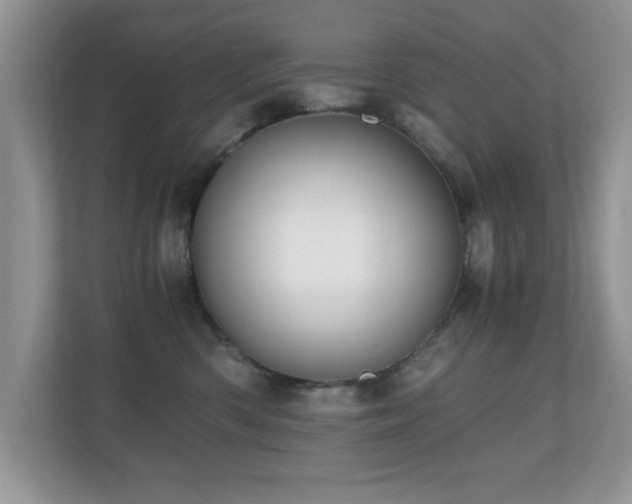 X0000110670426200906121313