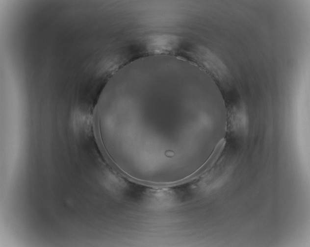 X0000110670427200906121313