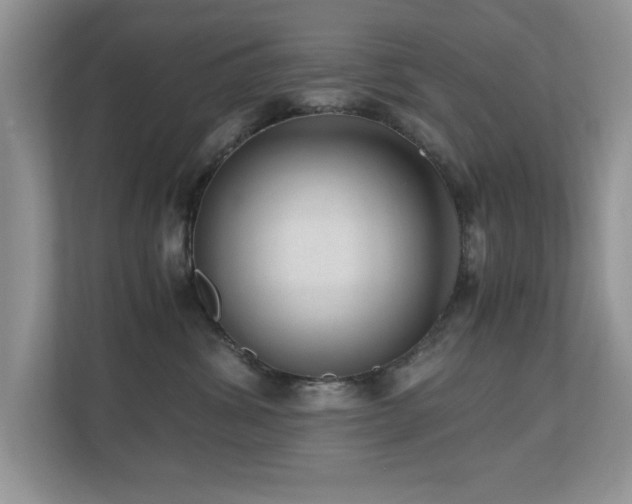 X0000110670428200906121313