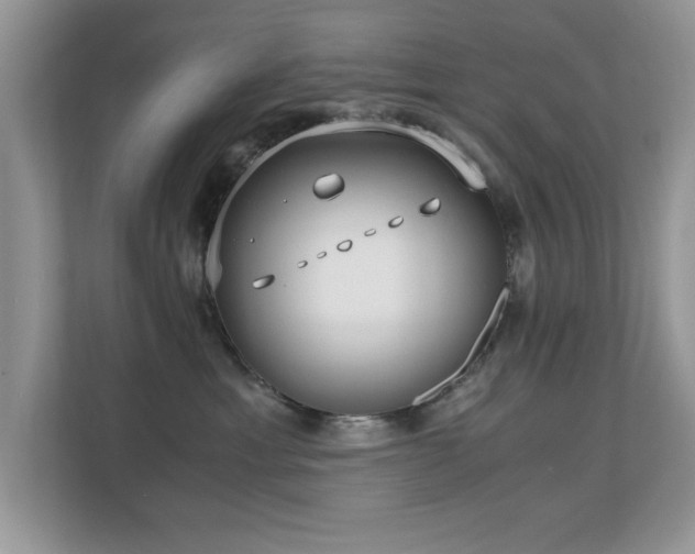X0000110670429200906121313