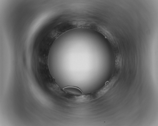 X0000110670430200906121313