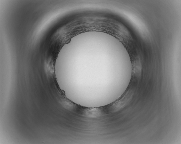 X0000110670431200906121313