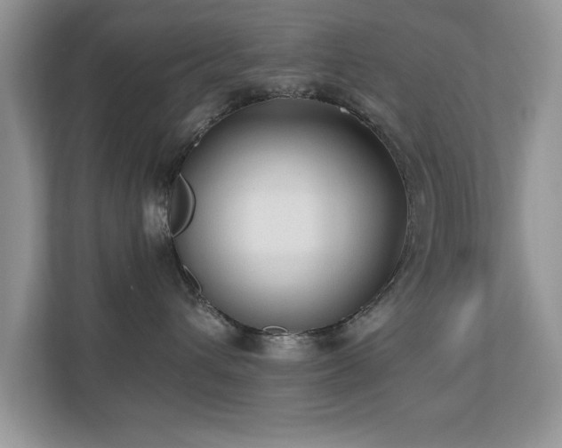 X0000110670432200906121313