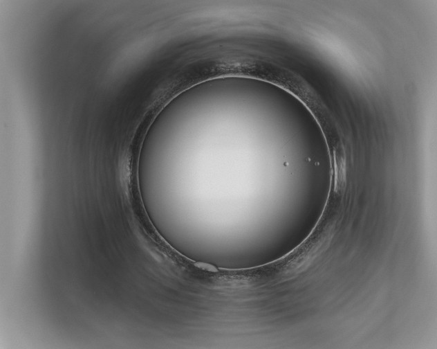 X0000110670435200906121313