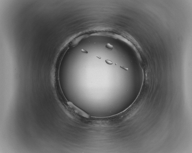 X0000110670436200906121313