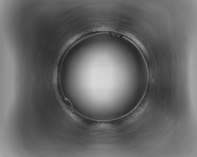 X0000110670437200906121313