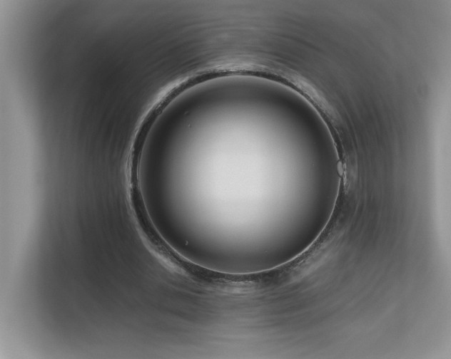 X0000110670438200906121313