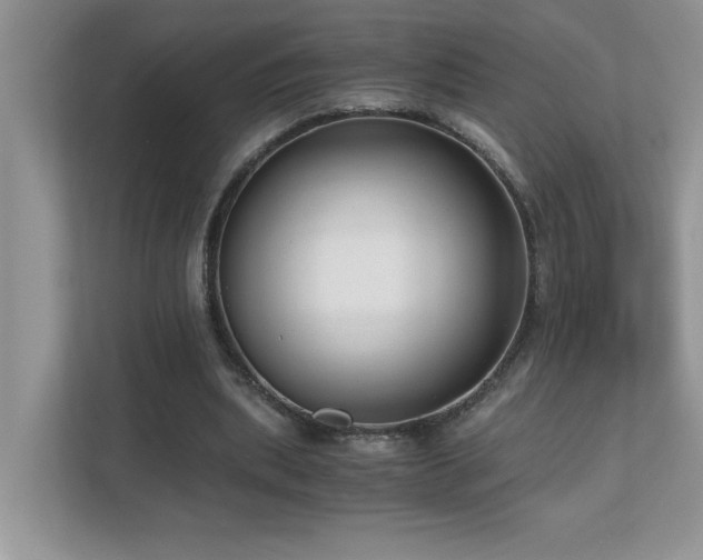 X0000110670439200906121313