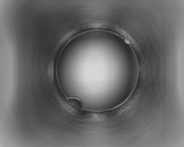 X0000110670442200906121313