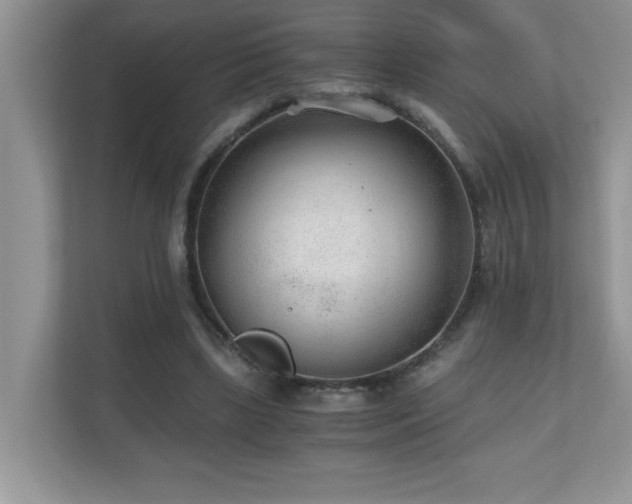 X0000110670443200906121313