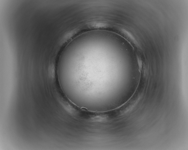 X0000110670447200906121313
