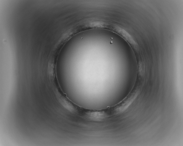 X0000110670449200906121313