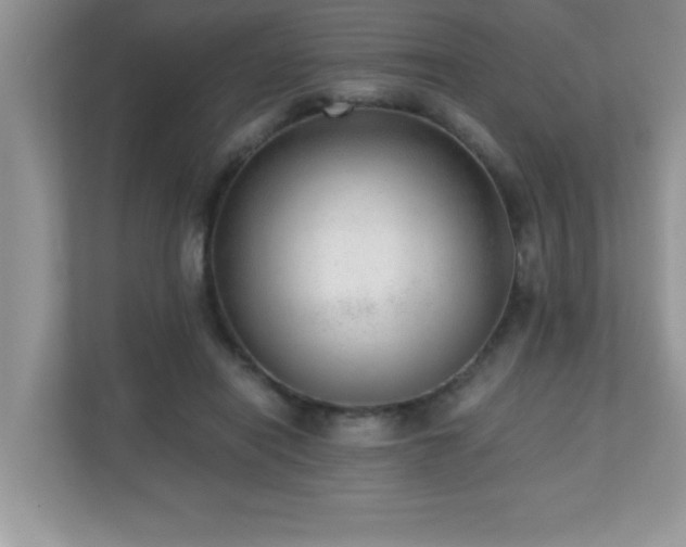 X0000110670454200906121313