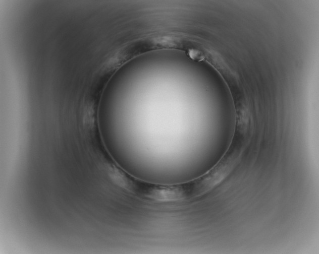 X0000110670466200906121313