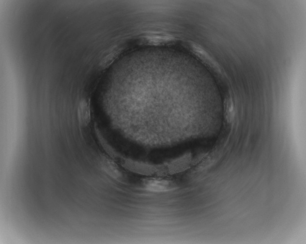X0000110670471200906121313