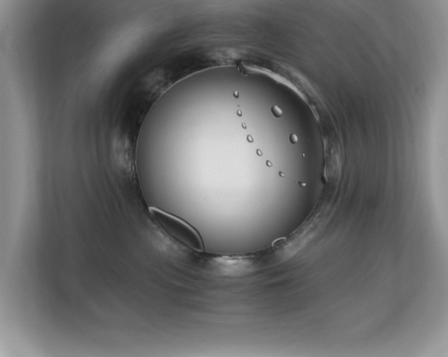 X0000110670477200906121313
