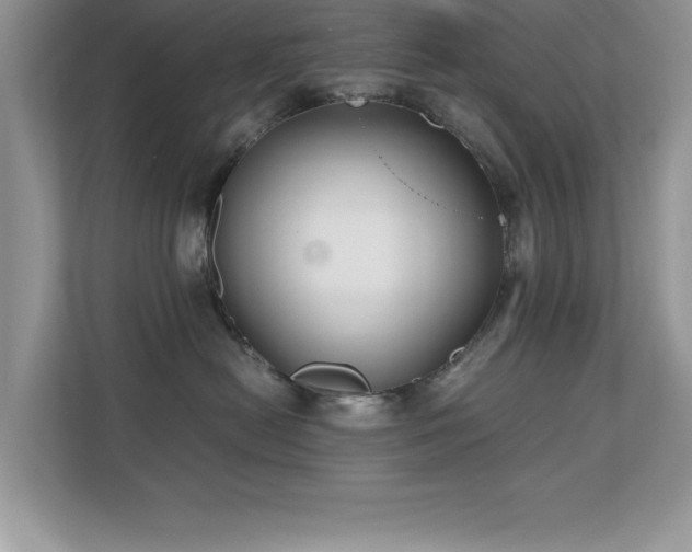 X0000110670478200906121313