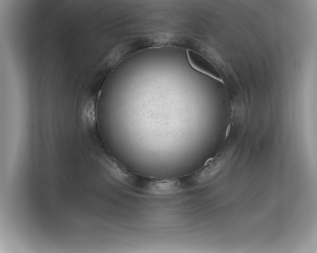 X0000110670479200906121313