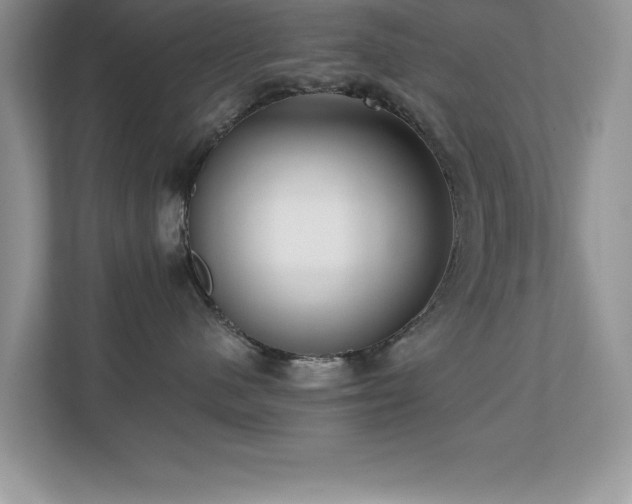 X0000110670480200906121313
