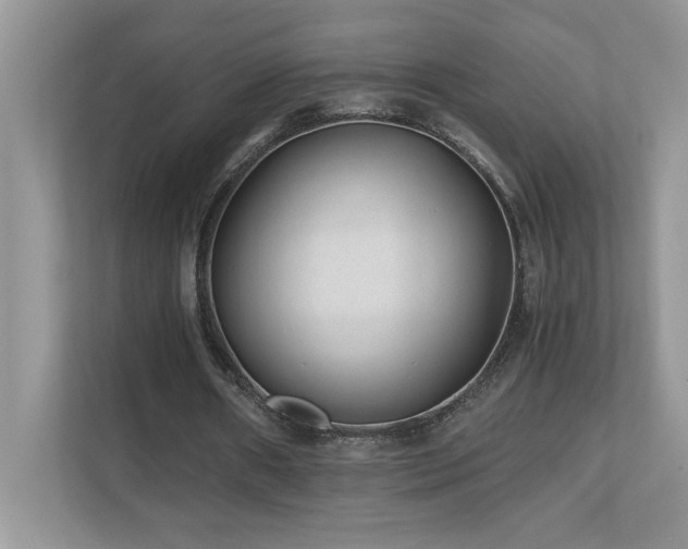 X0000110670482200906121313
