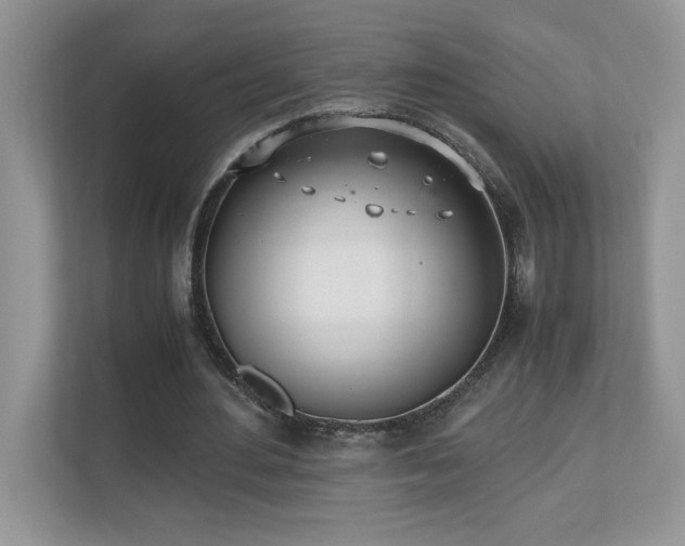 X0000110670484200906121313