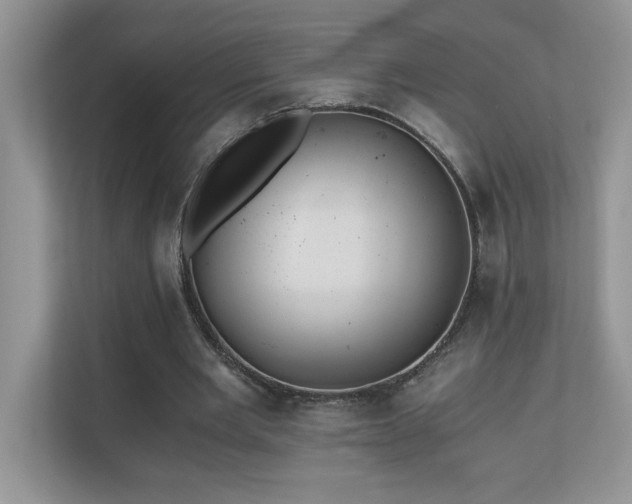X0000110670485200906121313