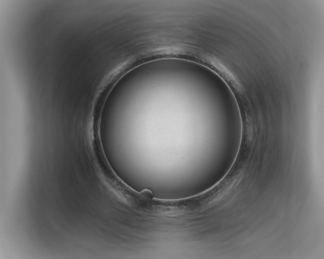 X0000110670486200906121313