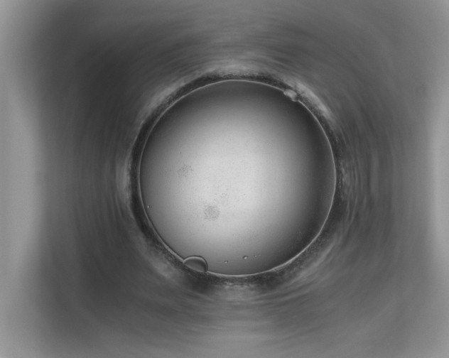 X0000110670487200906121313