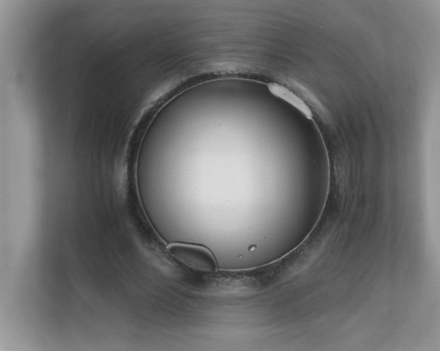 X0000110670488200906121313