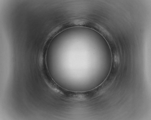 X0000110670492200906121313