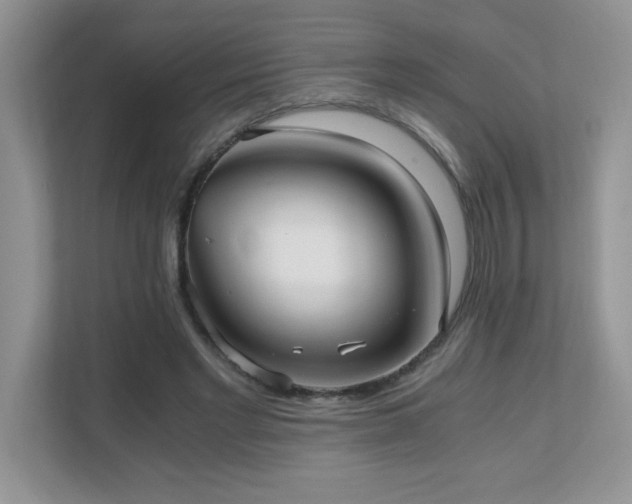 X0000110670493200906121313